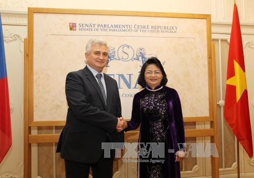 国家副主席邓氏玉盛会见捷克总统米洛什•泽曼及议会领导人 ảnh 3 国家副主席邓氏玉盛会见捷克总统米洛什•泽曼及议会领导人 ảnh 3