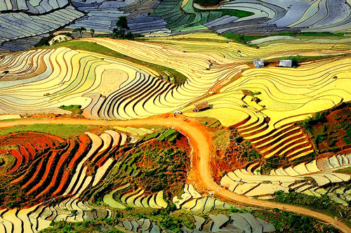 阿根廷媒体赞美越南风土人情 ảnh 1 阿根廷媒体赞美越南风土人情 ảnh 1