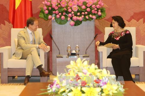 越南国会主席阮氏金银会见各国驻越大使 ảnh 2