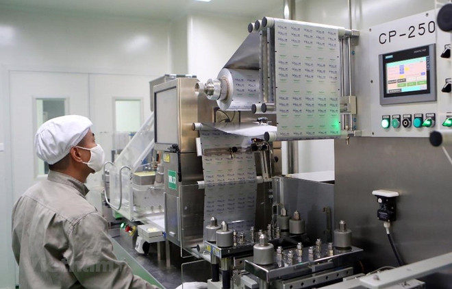 2021年越南经济前景:越南将成为“亮点”(二) ảnh 1 2021年越南经济前景:越南将成为“亮点”(二) ảnh 1