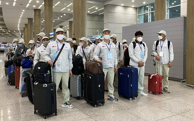 越南劳务输出人数同比增长19倍 ảnh 1