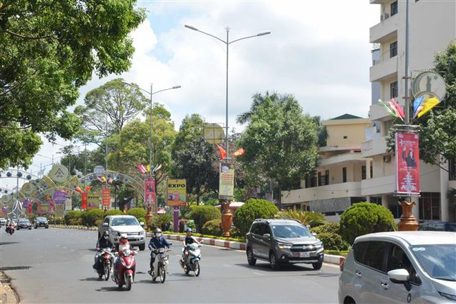 邦美蜀咖啡节：推介和发展越南特产咖啡品牌 ảnh 2