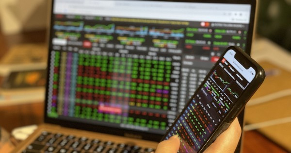 2023年2月份越南证券托管中心向195名境外投资者发放证券交易代码 ảnh 1