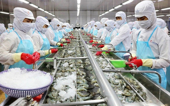 今年前2月越南水产品产量超过118万吨 ảnh 1 今年前2月越南水产品产量超过118万吨 ảnh 1