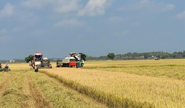 巴地头顿省大力将高科技应用于农场经济发展 ảnh 1