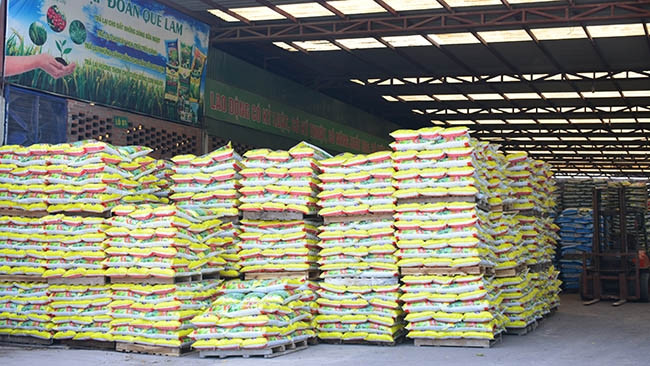 越南发展有机肥料 支持绿色农业 ảnh 1 越南发展有机肥料 支持绿色农业 ảnh 1