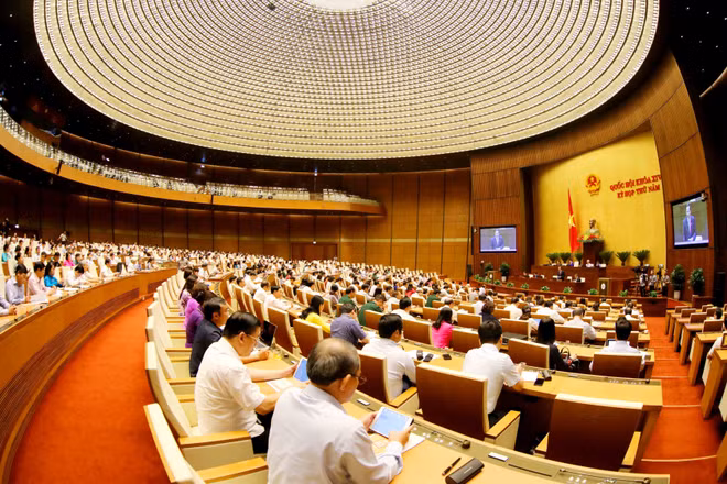 第十四届国会第五次会议：政府副总理王廷惠答复国会代表质询 ảnh 1