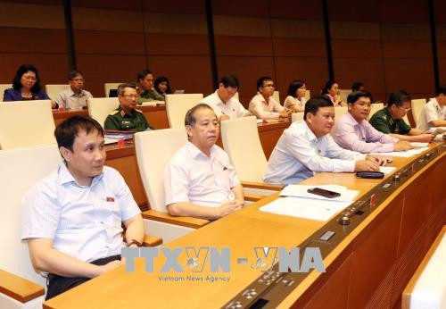 越南第十四届国会第五次会议公报（第十号） ảnh 1