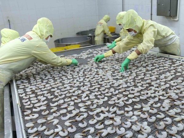 欧盟市场仍保持越南虾类产品最大进口市场地位 ảnh 1 欧盟市场仍保持越南虾类产品最大进口市场地位 ảnh 1
