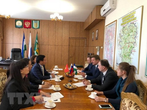 俄罗斯巴什科尔托斯坦共和国愿与越南各地方加强合作关系 ảnh 2 俄罗斯巴什科尔托斯坦共和国愿与越南各地方加强合作关系 ảnh 2