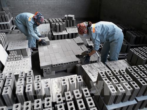 沿海地区和岛屿工程项目建材开发提案获批 ảnh 1