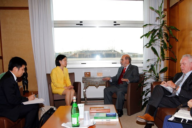 越通社简讯2019.2.8 ảnh 1 越通社简讯2019.2.8 ảnh 1