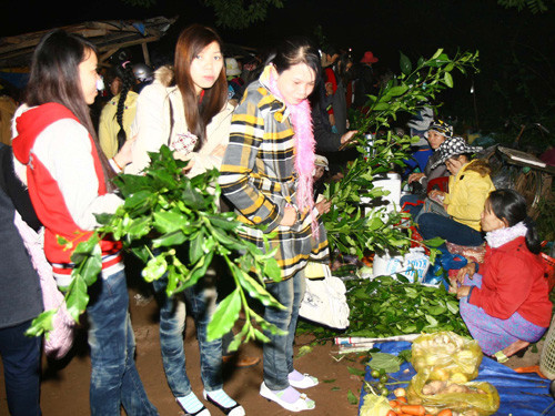 大年初二到广治省赶夜市 ảnh 1 大年初二到广治省赶夜市 ảnh 1