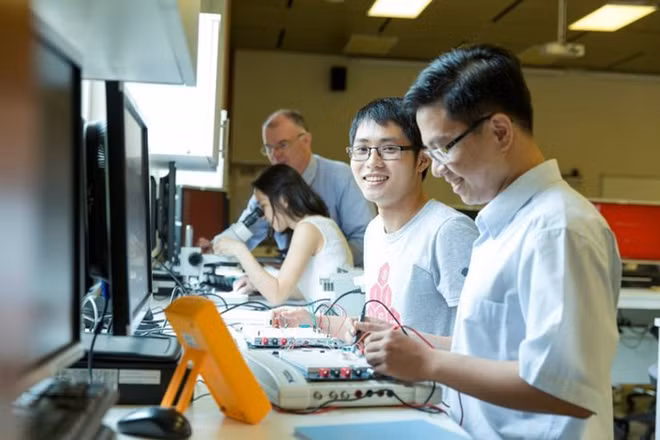 越南信息技术行业面临人力短缺难题 ảnh 1