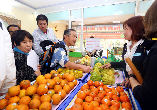 日本企业寻找对越南农产品投资合作商机 ảnh 3 日本企业寻找对越南农产品投资合作商机 ảnh 3