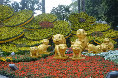 胡志明市己亥春节花卉节 3000多种奇花异草大合集 ảnh 2