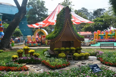 胡志明市己亥春节花卉节 3000多种奇花异草大合集 ảnh 3