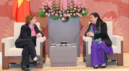 德国自由民主党秘书长：德方支持促进越德合作关系日益向前迈进 ảnh 1