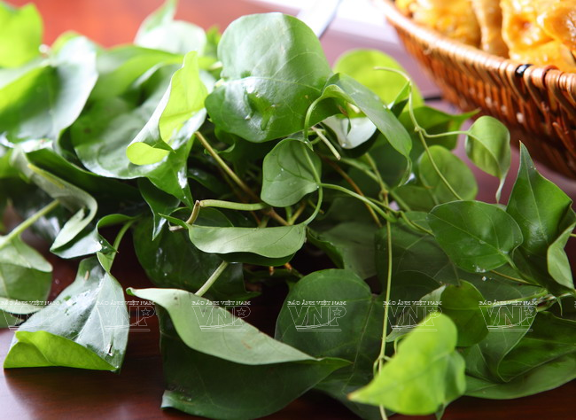 越南中部的传统菜肴:江叶酸鸡汤 ảnh 4 越南中部的传统菜肴:江叶酸鸡汤 ảnh 4