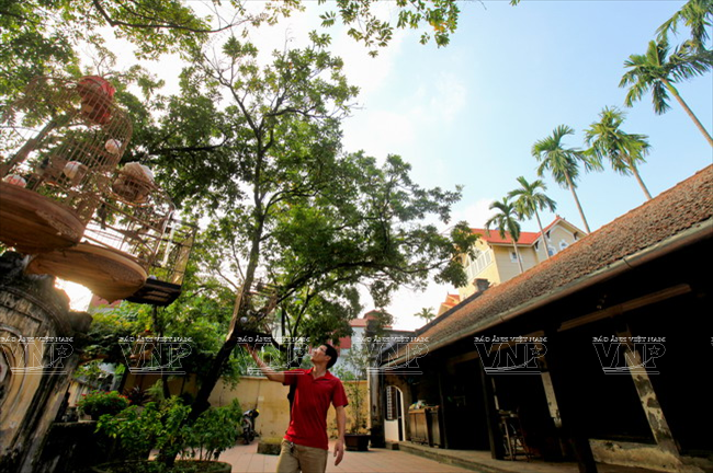 河内城里的古村 ảnh 3