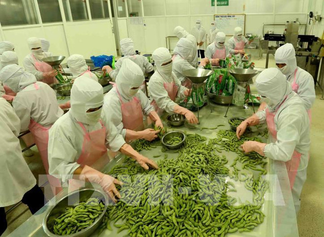 2022年第一季度安江省出口呈增长势头 ảnh 1 2022年第一季度安江省出口呈增长势头 ảnh 1