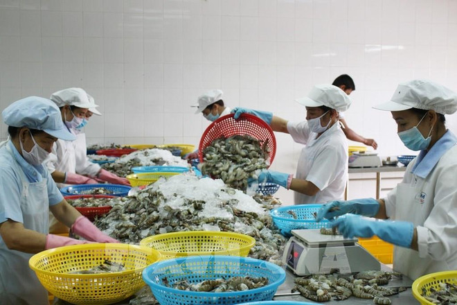 老挝媒体：2022年越南与老挝贸易总额预计增长率达10%以上 ảnh 1