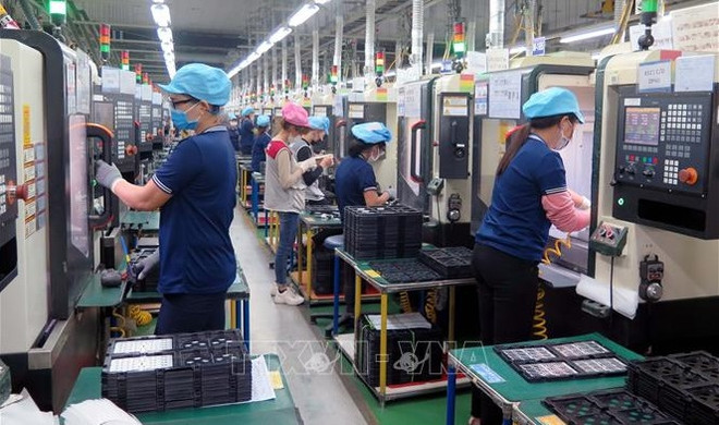 完善越南负责任商业行为的政策和法律 ảnh 2 完善越南负责任商业行为的政策和法律 ảnh 2