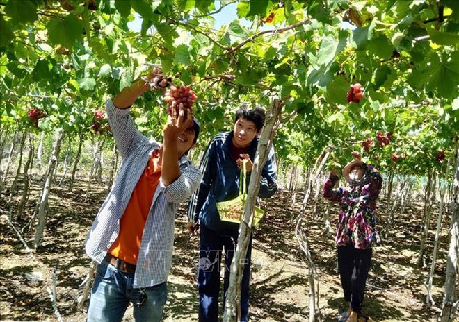 宁顺省多措并举提升社区旅游的吸引力 ảnh 1 宁顺省多措并举提升社区旅游的吸引力 ảnh 1