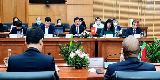 越南继续寻找煤炭潜在供应来源 ảnh 1