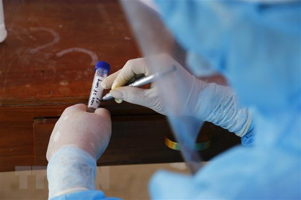 4月2日越南新增确诊病例65619例 康复病例超10万例 ảnh 1 4月2日越南新增确诊病例65619例 康复病例超10万例 ảnh 1