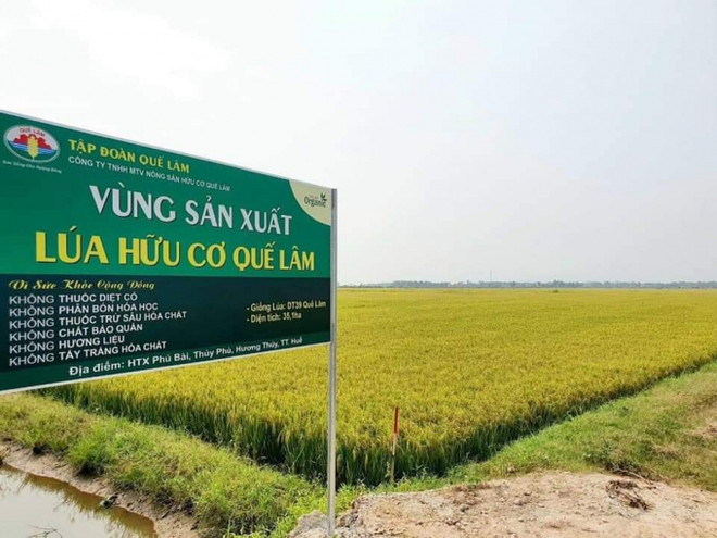 越南中部地区扩大有机农业种植面积 ảnh 1 越南中部地区扩大有机农业种植面积 ảnh 1