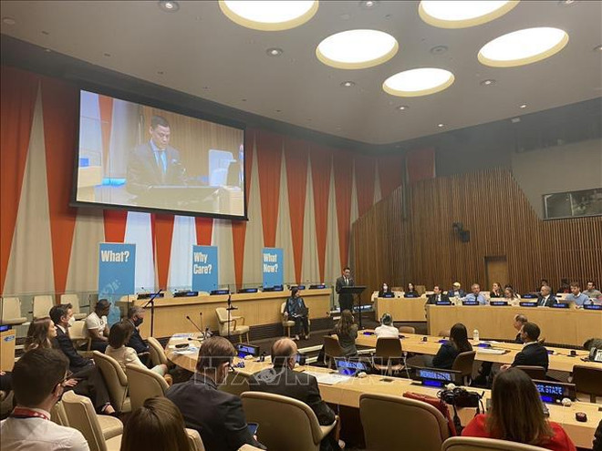 越南常驻联合国代表分享克服战争遗留地雷后果的经验 ảnh 1 越南常驻联合国代表分享克服战争遗留地雷后果的经验 ảnh 1