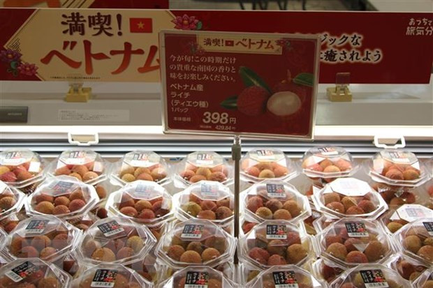 协助企业向日本市场出口农产品和食品 ảnh 1 协助企业向日本市场出口农产品和食品 ảnh 1