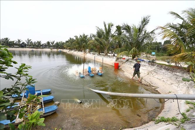 越南兴安省集中精力展开新农村建设任务 ảnh 2 越南兴安省集中精力展开新农村建设任务 ảnh 2