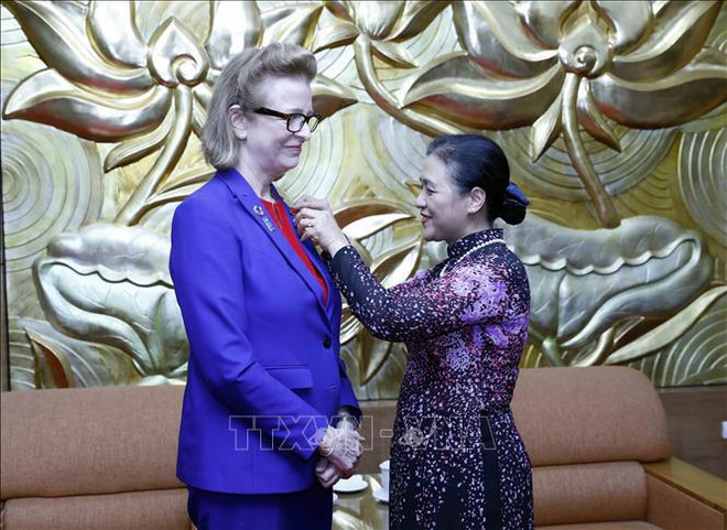越南向联合国开发计划署驻越南首席代表授予 “致力于各民族间和平与友谊”纪念章 ảnh 1