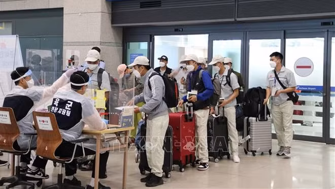 提高国家对国外劳务派遣工作的管理质效 ảnh 2 提高国家对国外劳务派遣工作的管理质效 ảnh 2