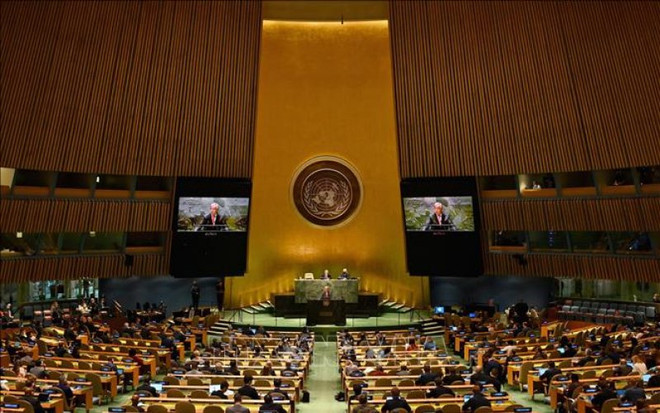 越南为促进《不扩散核武器条约》在全球安全中的作用做出贡献 ảnh 1 越南为促进《不扩散核武器条约》在全球安全中的作用做出贡献 ảnh 1