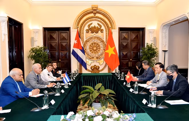 古巴外交部副部长对越南进行访问 ảnh 2