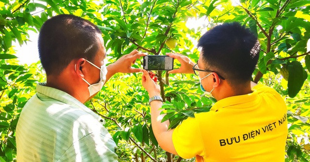 兴安省兴安市为农民开展电商业务培训 ảnh 1