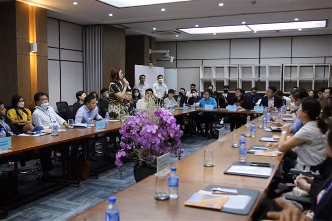 胡志明市向新加坡企业推介投资机遇 ảnh 2