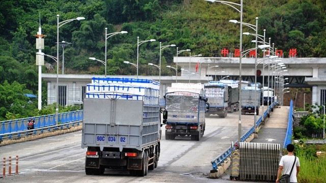 越南对中国出口1.1万多吨荔枝 ảnh 1