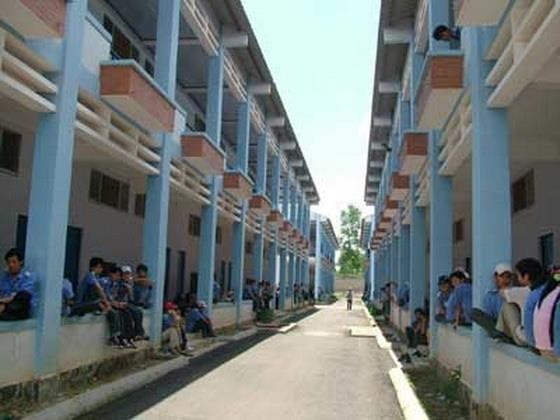 越南平福省多措并举助力柬埔寨越侨归国安居乐业 ảnh 1 越南平福省多措并举助力柬埔寨越侨归国安居乐业 ảnh 1