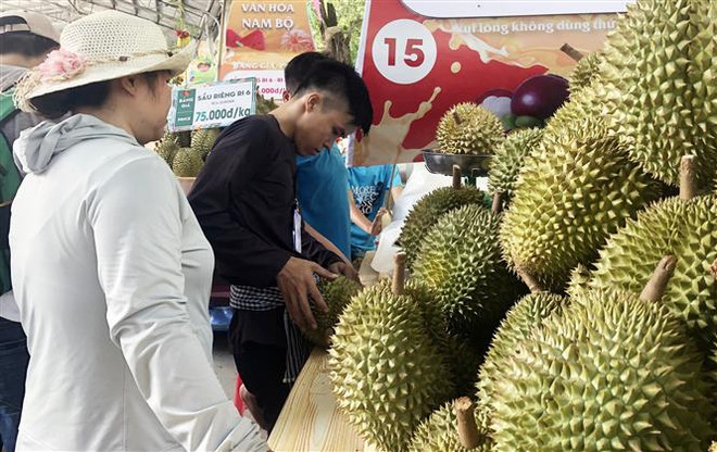 第15届南部水果节开幕 各精彩活动陆续举办 ảnh 3 第15届南部水果节开幕 各精彩活动陆续举办 ảnh 3