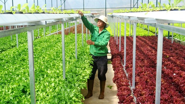 巴地头顿省大力吸引对高新技术农业的投入 ảnh 1 巴地头顿省大力吸引对高新技术农业的投入 ảnh 1