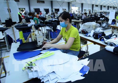 越南纺织服装集团在加拿大进行贸易促进活动 ảnh 1