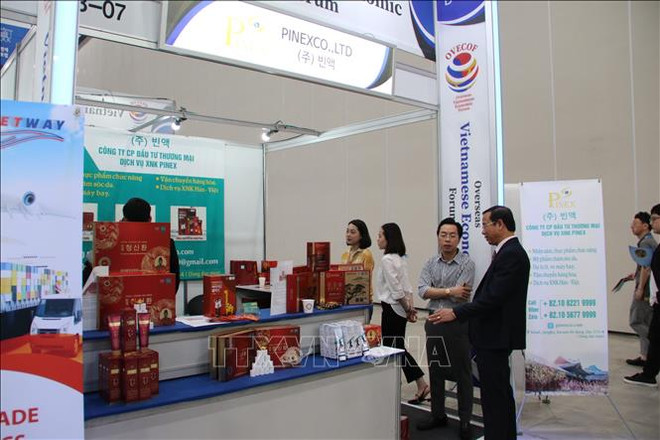 第一届全球侨务经济论坛在韩国举行 ảnh 2