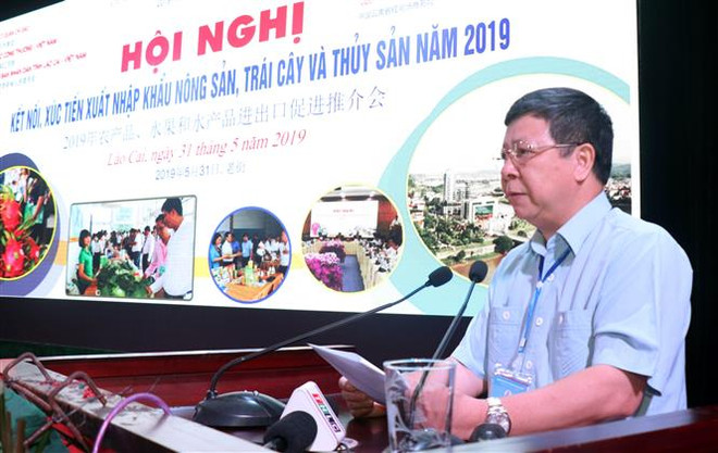 越南老街是推进越中产品进出口交易的重要桥梁 ảnh 2