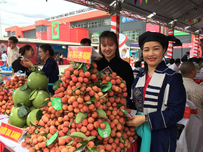 2019年北江省陆岸荔枝周即将到来 ảnh 1 2019年北江省陆岸荔枝周即将到来 ảnh 1