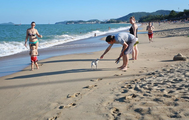 2019年前4月越南接待泰国游客人数破纪录 ảnh 1