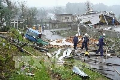 日本超强台风“海贝思”:越南驻日本大使馆积极对越南公民开展领事保护工作 ảnh 2 日本超强台风“海贝思”:越南驻日本大使馆积极对越南公民开展领事保护工作 ảnh 2
